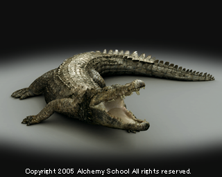 crocodile_s.png