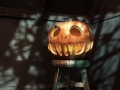 p13_pumpkin_595