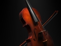 violin01